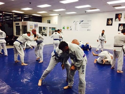 Gracie Morumbi Thousand Oaks Martial Arts