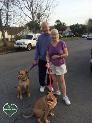 This is the first time they were able to safely take a family picture on leash.  The dogs are now totally transformed.