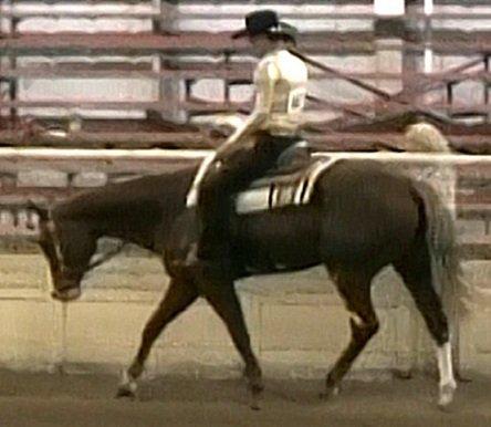 First Place Junior Western Pleasure, NM State Fair 2012.