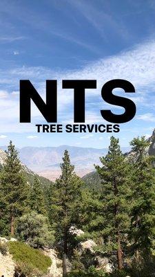 Ventura County's most reliable Tree Service