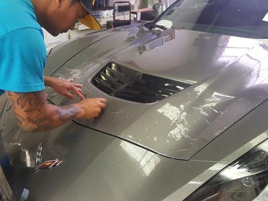 putting paint protection on