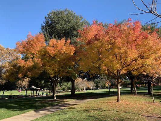 The park comes alive every fall!