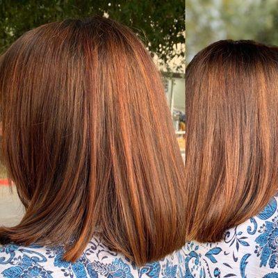 Warm chocolate brown color with red highlights