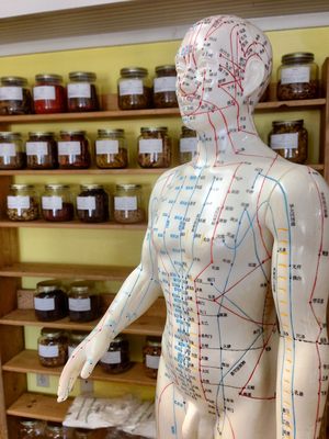 Acupuncture, Traditional Chinese Medicine, & Herbal Therapy