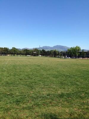 View of Mt. Diablo