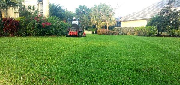 We are the leading landscaping company in Bonita Springs, Florida, servicing Lee and Collier counties.