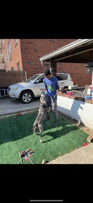 Before Installation. cheap turf from Home Depot which was more like a carpet.