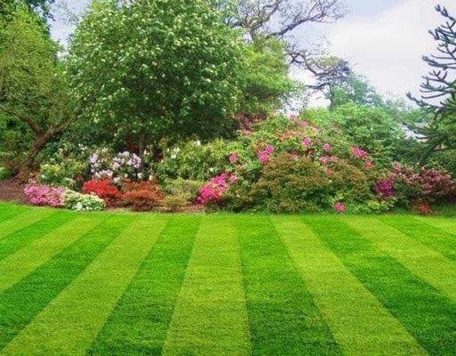 Complete landscaping rock garden