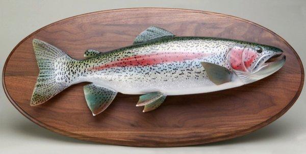 24’’, 7 lbs Alaskan Rainbow, on a Walnut panel.