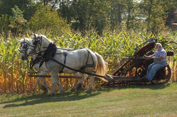 Mennonite Heritage Center