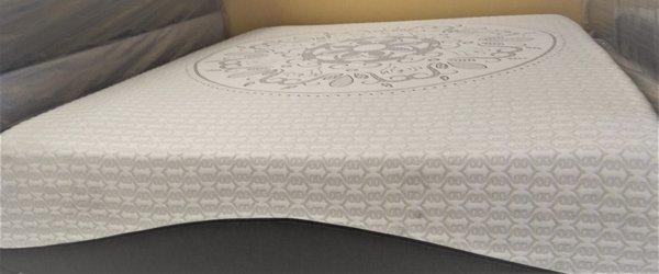 Sealy's Queen Size Mattress & Box for $450