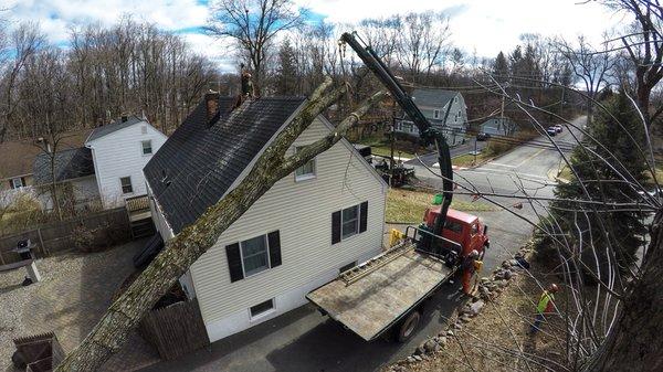 Delicately removing a fallen tree off of a roof.