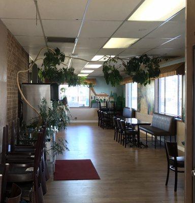 Large seating area to eat off to the side. Real plants hanging from the ceiling and murals around. A cool environment.