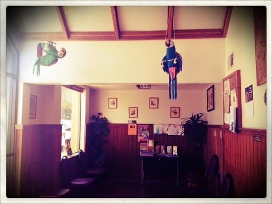 Waiting room with two stuffed parrots hanging from ceiling. Clients brought them back from El Salvador for Dr. Restani.