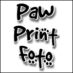 Paw Print Foto