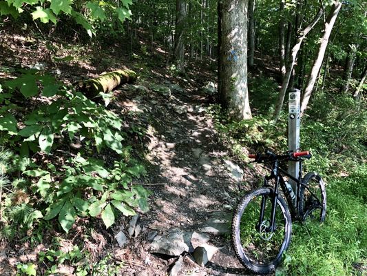 Entrance to Dukes Crossing Trail