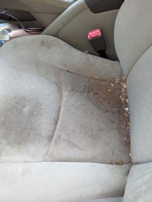 Didn't vacuum seats 
 Really sloppy job