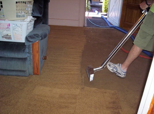 Carpet cleaning Bronx