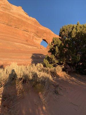 Want to repel off of an arch while saying your marriage vows? No problem--just come to Moab!