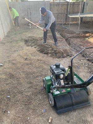 2 of 3 : this is after cement stump was removed, dirt trenches were made for the irrigation system !