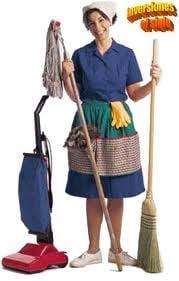 Dilia's Cleaning Services