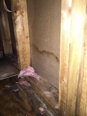 This photo shows the inside of the wall cavity after the insulation was removed. The dark line in between the studs shows how...