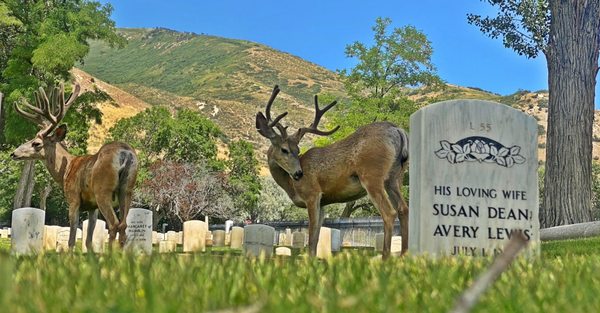 Fort Douglas Military Cemetery