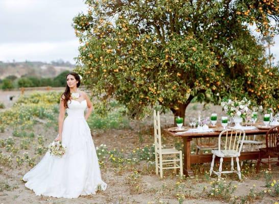 Styled Spring Shoot