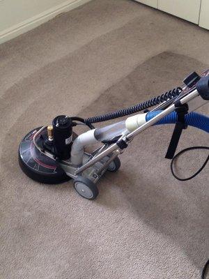 Carpet Cleaning