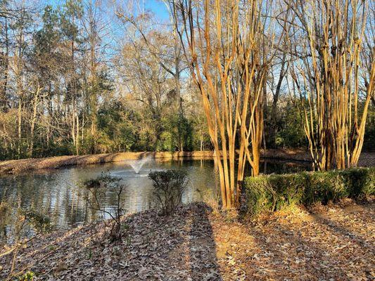 Pond outside of Quitman Retreat