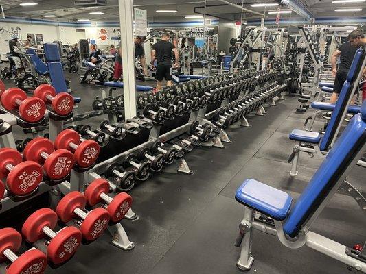 There's a ton of dumbbells and a variety of benches dude. I need these for every workout I have in my arsenal!!