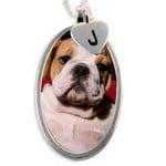 My dog Charm