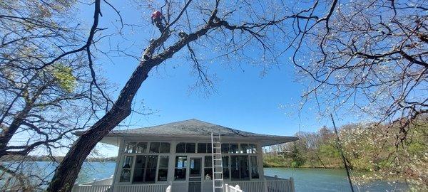 Removal over a bridge to the boathouse