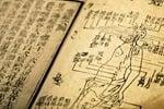 Traditional Chinese Medicine Diagnosis