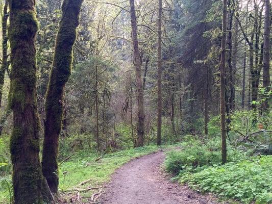 Whipple Creek Regional Park Trail