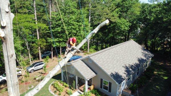 Ga Pro Tree Service