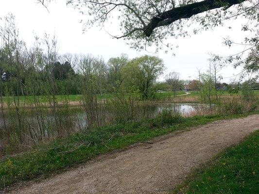 Fishing Pond View From Northeastern Trail