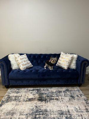 Velvet blue tufted couch