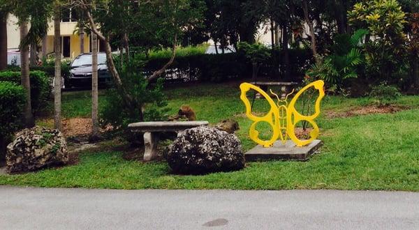 Seating arrangements in front of library building