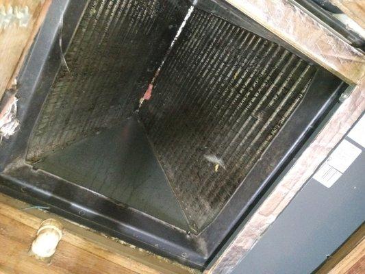 Cleaning evaporators,