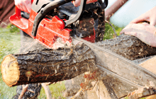 Gray's Tree Service & Stump Removal