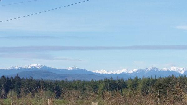 Olympic Mountains Views from Jacob Miller Rd