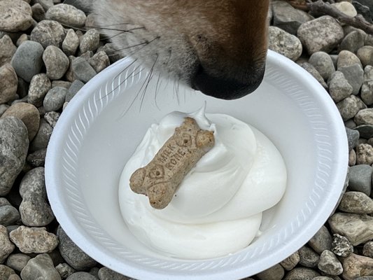 Cooper and his Dog Sundae