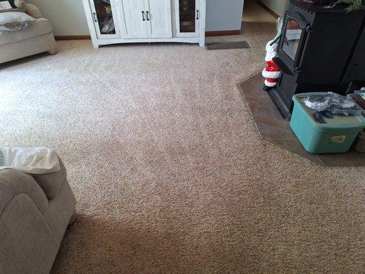 My carpet had lots of pet spots before.