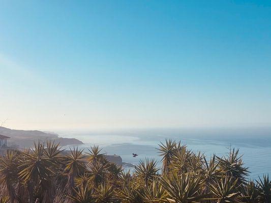 Vista point @ 6am