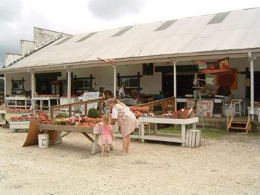 Sunny Slope Farms