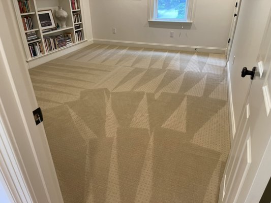 Carpet cleaned to perfection at a customers home in Weston, MA