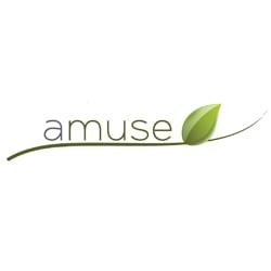 Amuse Media