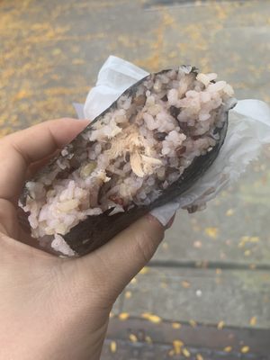 Rice Ball with Salmon