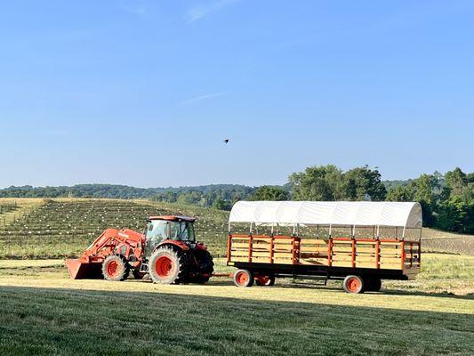 Hayrides